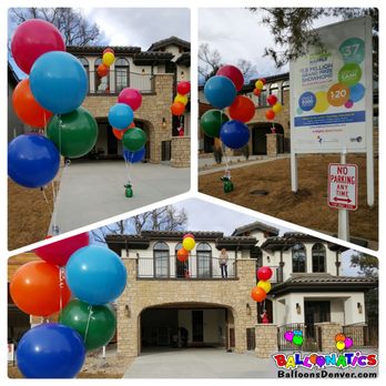 Balloonatics - Balloon Services Near Me - Denver, Colorado Balloonatics - Balloon Services Near Me - Denver, Colorado