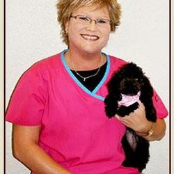 Brazos Animal Hospital - untitled