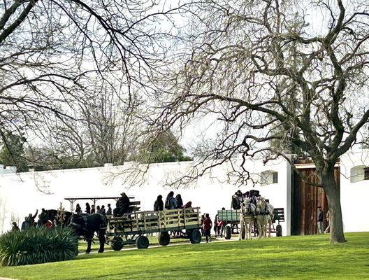 Sutter's Fort State Historic Park by null