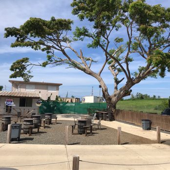Hatillo Road House - Treehouse bar! - Diners Near Me - Hatillo, Puerto Rico
