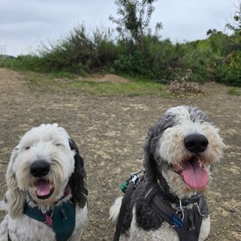 DogTrot - Dog Walkers Near Me - Redondo Beach, California