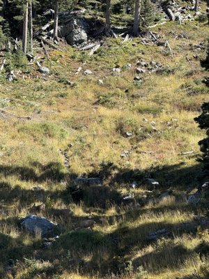 Taos Ski Valley by null