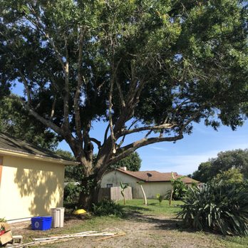 Lion's Help Land and Tree Service - After- no branches over hanging our roof - Tree Services Near Me - Vero Beach, Florida
