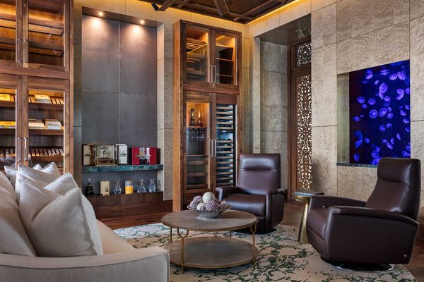 Jellyfish Art by null