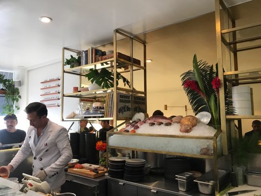 Ceviche Project by null Ceviche Project by null