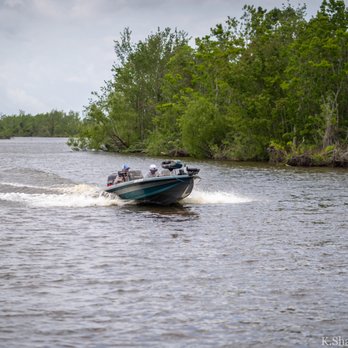 Ultimate Swamp Adventures - Tours Near Me - Westwego, Louisiana