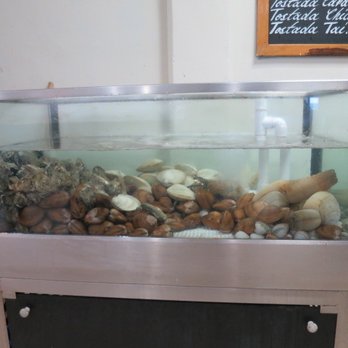 Mar-Bella - Oysters. - Mexican Near Me - Cancún, ROO Mar-Bella - Oysters. - Mexican Near Me - Cancún, ROO
