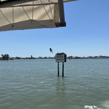 Hubbard's Marina - Osprey  nest with mother bird carrying a large fish  to her babies. - Boating Near Me - Madeira Beach, Florida