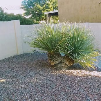 Az Grand Canyon Landscaping - Front Prior - Landscaping Near Me Az Grand Canyon Landscaping - Front Prior - Landscaping Near Me