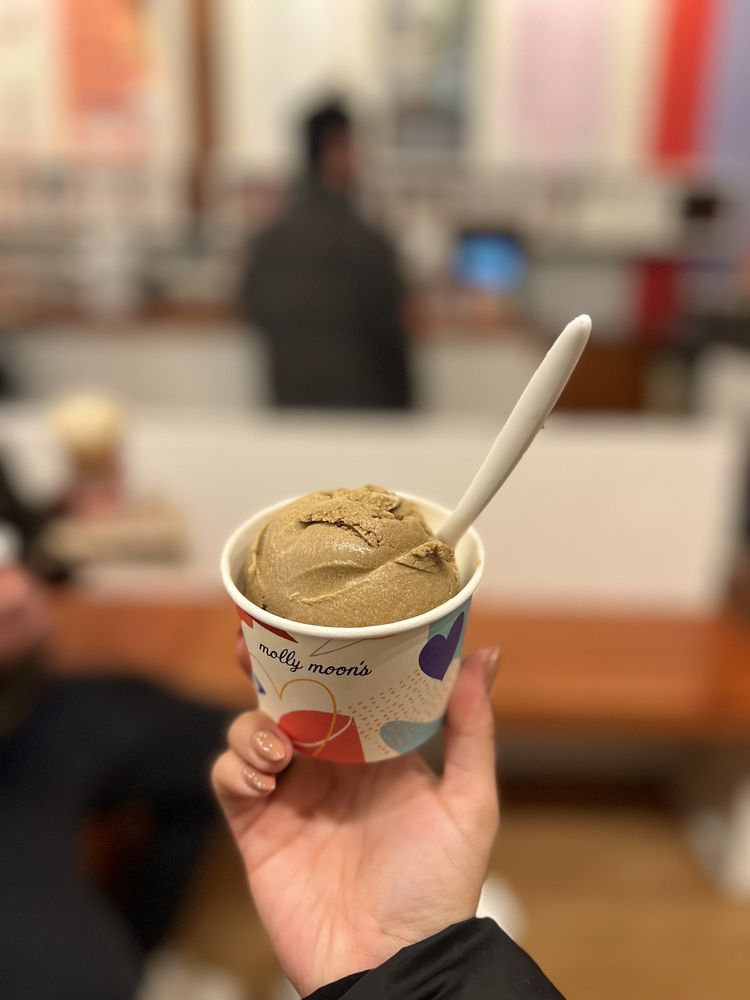 Molly Moon's Homemade Ice Cream