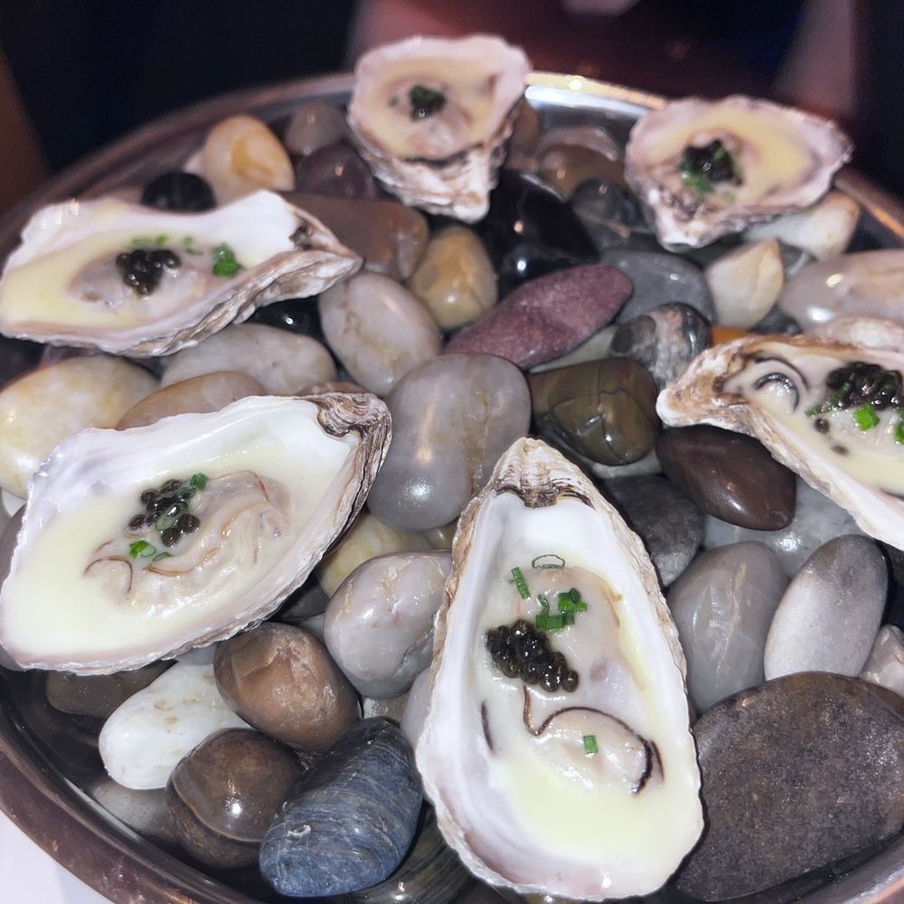 Oysters Oysters