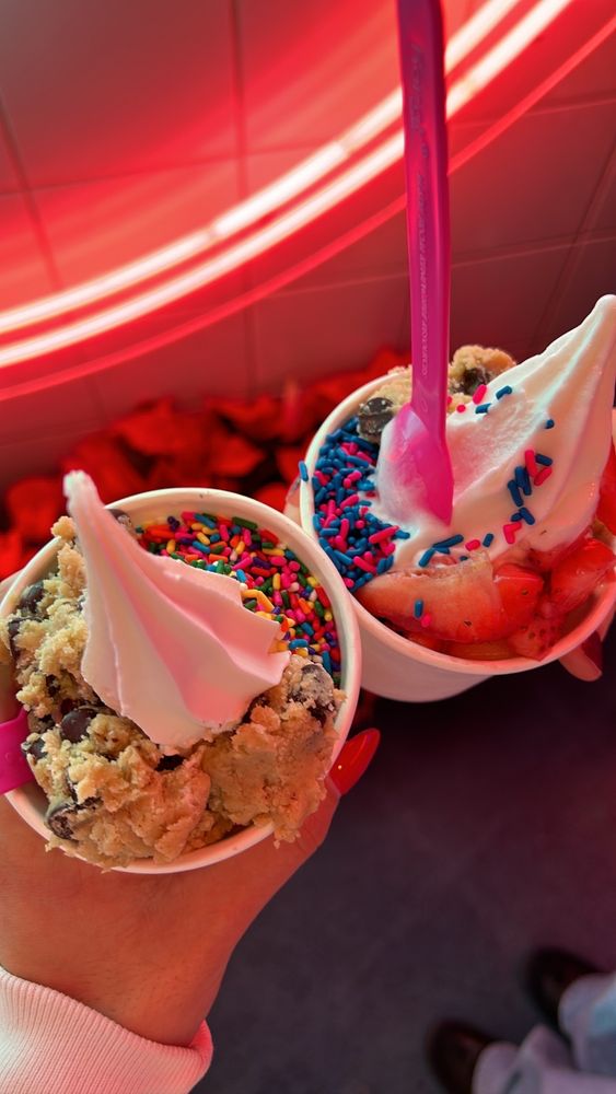 The Bigg Chill Frozen Yogurt