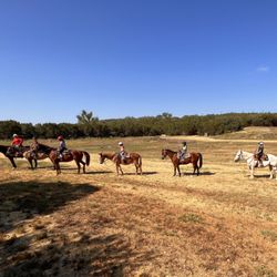 Spring Creek Stables