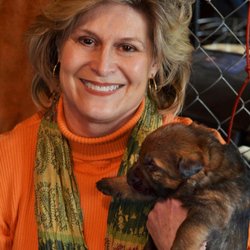 The Bigger Brain - Owner Debbie Duttenhofer and a German Shepherd puppy