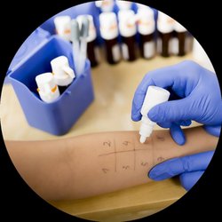 AFC Med Allergy - Surprise