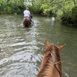 Dillard House Stables - River Ride