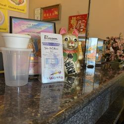 Blossom Asian Cuisine - Interior