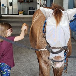 Brevard Equestrian Center