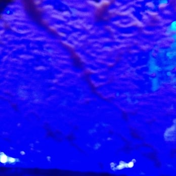 Pelican Pointe Car Wash - More party lights - Car Wash Near Me - Covington, Louisiana