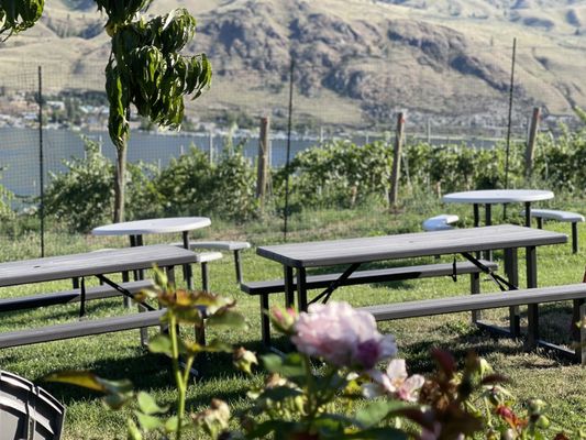 Vin Du Lac Winery by null
