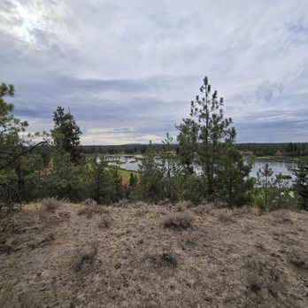Spokane Trail Rides and Boarding - Horseback Riding Near Me - Spokane, Washington Spokane Trail Rides and Boarding - Horseback Riding Near Me - Spokane, Washington