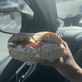 Bagels & Co - a person holding a sandwich - Bagels Near Me - Fresh Meadows, New York