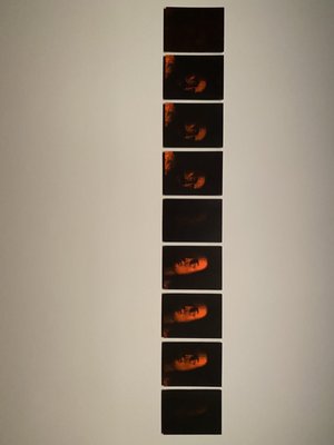 Gallery of Modern Art by null