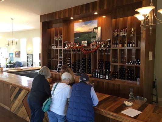 Alto Vineyards by null