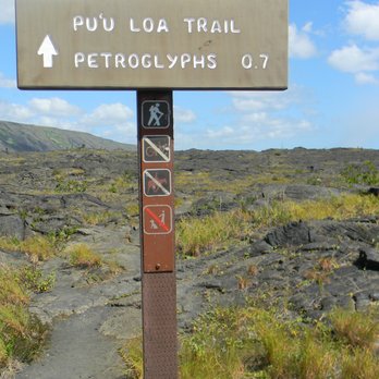 Pu'u Loa Petroglyphs - start of trail - Hiking Near Me - Mountain View, Hawaii Pu'u Loa Petroglyphs - start of trail - Hiking Near Me - Mountain View, Hawaii