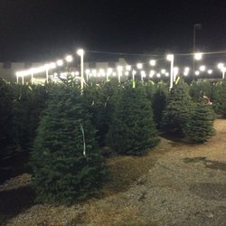 Tip Top Trees