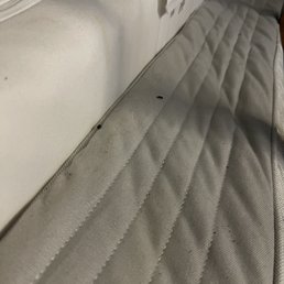 Mattresses that are now a nest for these rats.