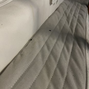Extra Space Storage - Mattresses that are now a nest for these rats. - Self Storage Near Me - Elk Grove, California