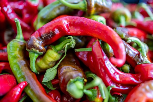 Ferry Plaza Farmers Market by null Ferry Plaza Farmers Market by null