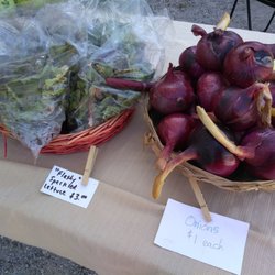 Down to Earth Farm - Fresh