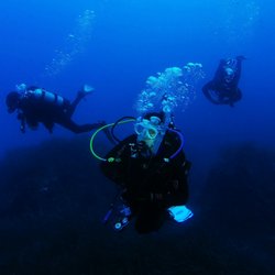 Portofino Divers