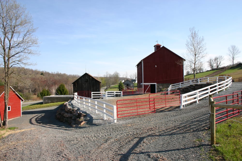 STONEYBROOK FARM Updated October 2024 448 Carley Brook Rd, Honesdale, Pennsylvania Horse