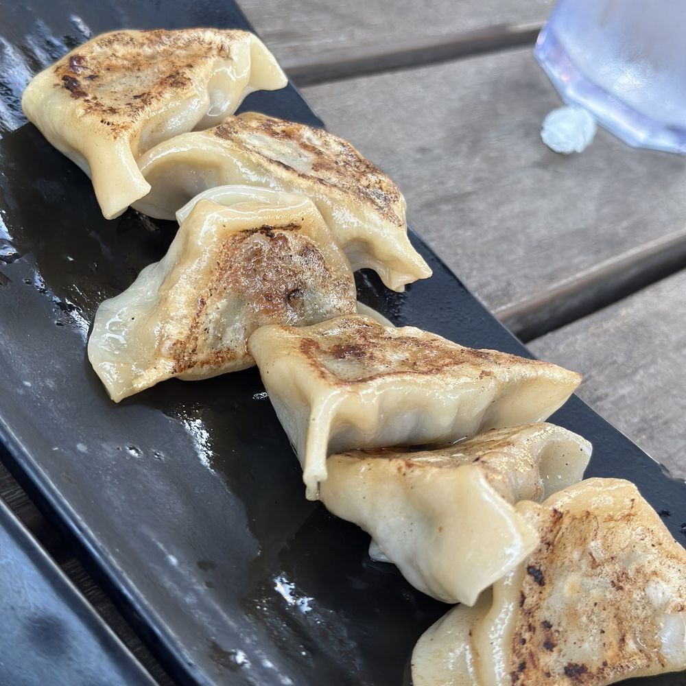Dumplings to die for! Dumplings to die for!