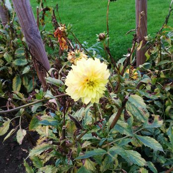 Jardin des Plantes - Botanical Gardens Near Me - Lille, 59 Jardin des Plantes - Botanical Gardens Near Me - Lille, 59