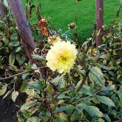 Jardin des Plantes