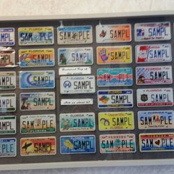 Pasco County Tax Collector's Office - Pick the plate of your choice