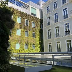 The Lisbonaire - Building with plant wall off the patio