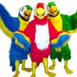The Mascot Organization - Parrots