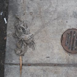 Mr. D’s Drain Cleaning & Plumbing Service