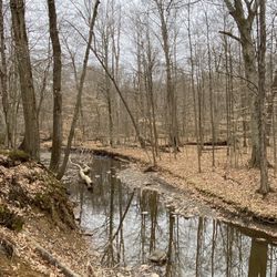 Mill Creek Metroparks- Hitchcock Woods - Sawmill Creek in the winter.