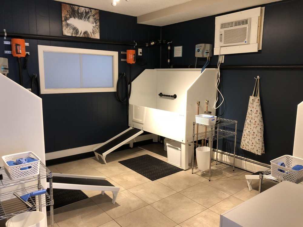 PAW PLACE Updated September 2024 14 Photos 416 Huttleston Ave