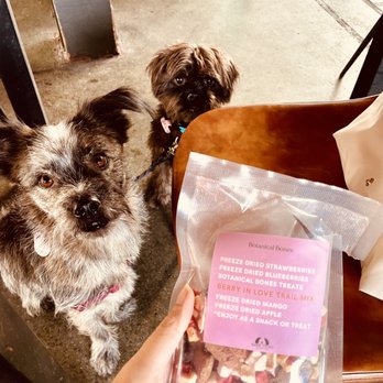 Puppy Picnic - Party & Event Planning Near Me - Encinitas, California Puppy Picnic - Party & Event Planning Near Me - Encinitas, California