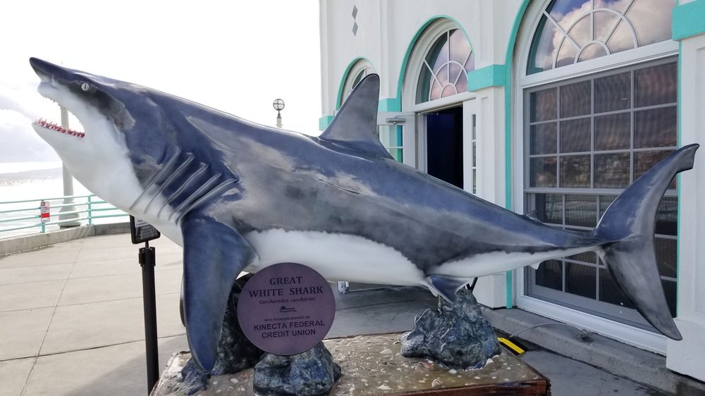 ROUNDHOUSE AQUARIUM AND TEACHING CENTER 447 Photos & 80 Reviews 2