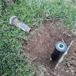 Green Yard Service