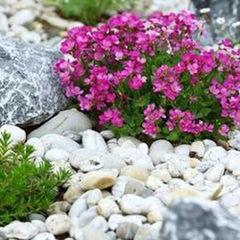 Desert Construction - 4 Popular Uses of Landscaping Rocks - Building Supplies Near Me - Kingman, Arizona