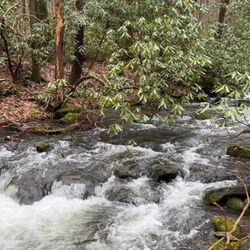 Garden of Eden Cabins - River nearby